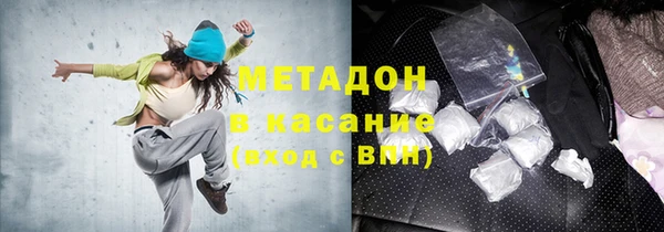 прущие грибы Медногорск