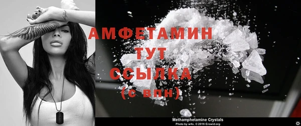 прущие грибы Медногорск