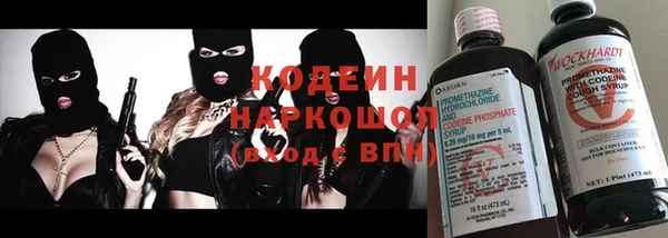 прущие грибы Медногорск