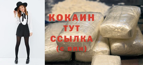 прущие грибы Медногорск