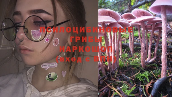 молекула духа Мегион