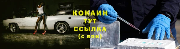 прущие грибы Медногорск
