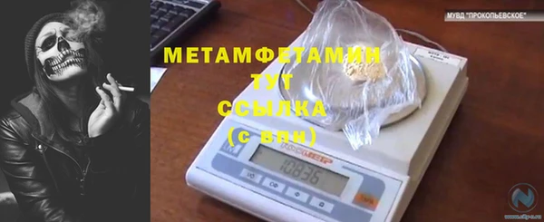 молекула духа Мегион