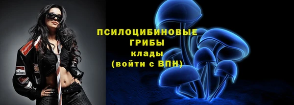 молекула духа Мегион