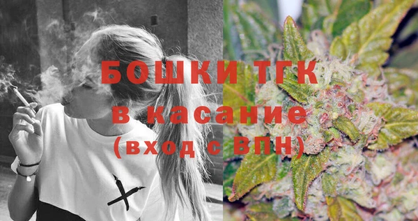 молекула духа Мегион