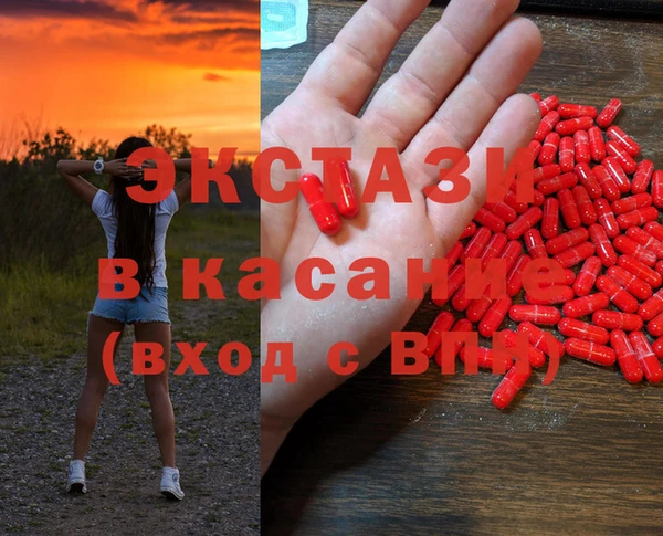 прущие грибы Медногорск