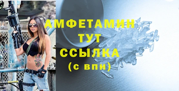 молекула духа Мегион