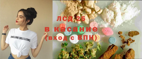 прущие грибы Медногорск