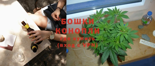 прущие грибы Медногорск