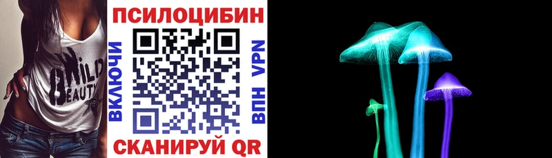 Псилоцибиновые грибы Cubensis  наркошоп  Черепаново 
